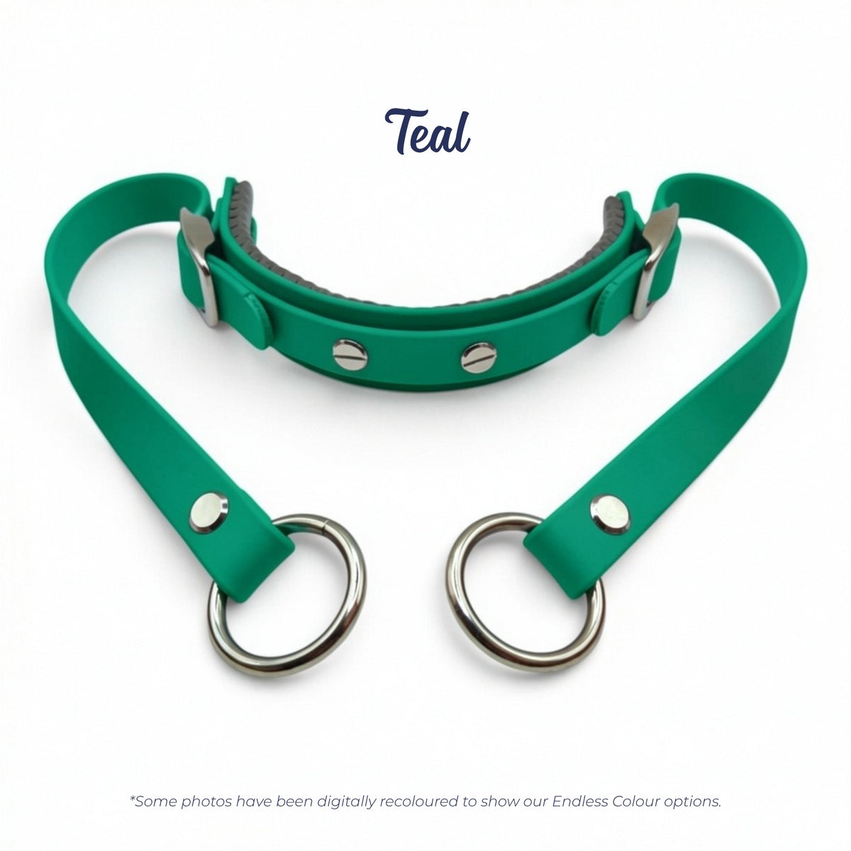 Rein Ready bitless headcollar adapter in Teal BioThane, digitally recoloured to show the colour option.
