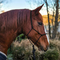 Ponies and Pups All Weather 6mm Rope Halter for horses, black, metal-free design for silent communication.