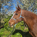 Ponies and Pups light blue 6mm rope halter on a brown horse with a white blaze, outdoors with flowering trees.