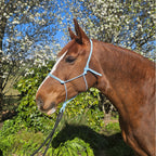 Ponies and Pups light blue 6mm rope halter on a brown horse with a white blaze, outdoors with flowering trees.