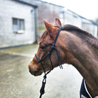 Ponies and Pups dark blue 6mm rope halter on a brown horse, metal-free design for silent communication.