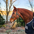 Ponies and Pups All Weather 6mm Rope Halter in green, metal-free design for silent communication with horses.