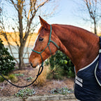 Ponies and Pups All Weather 6mm Rope Halter in green, metal-free design for silent communication with horses.