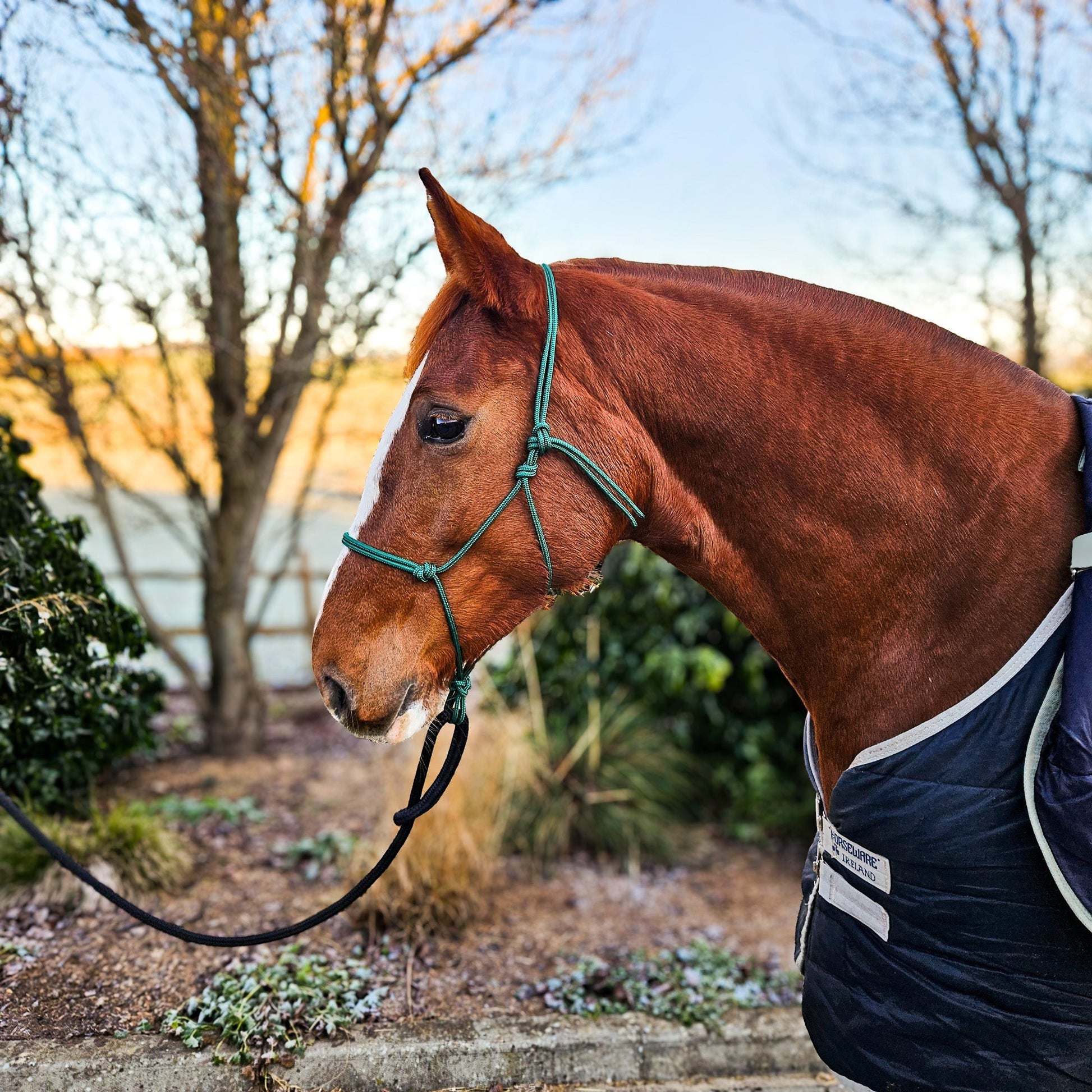 Ponies and Pups All Weather 6mm Rope Halter in green, metal-free design for silent communication with horses.