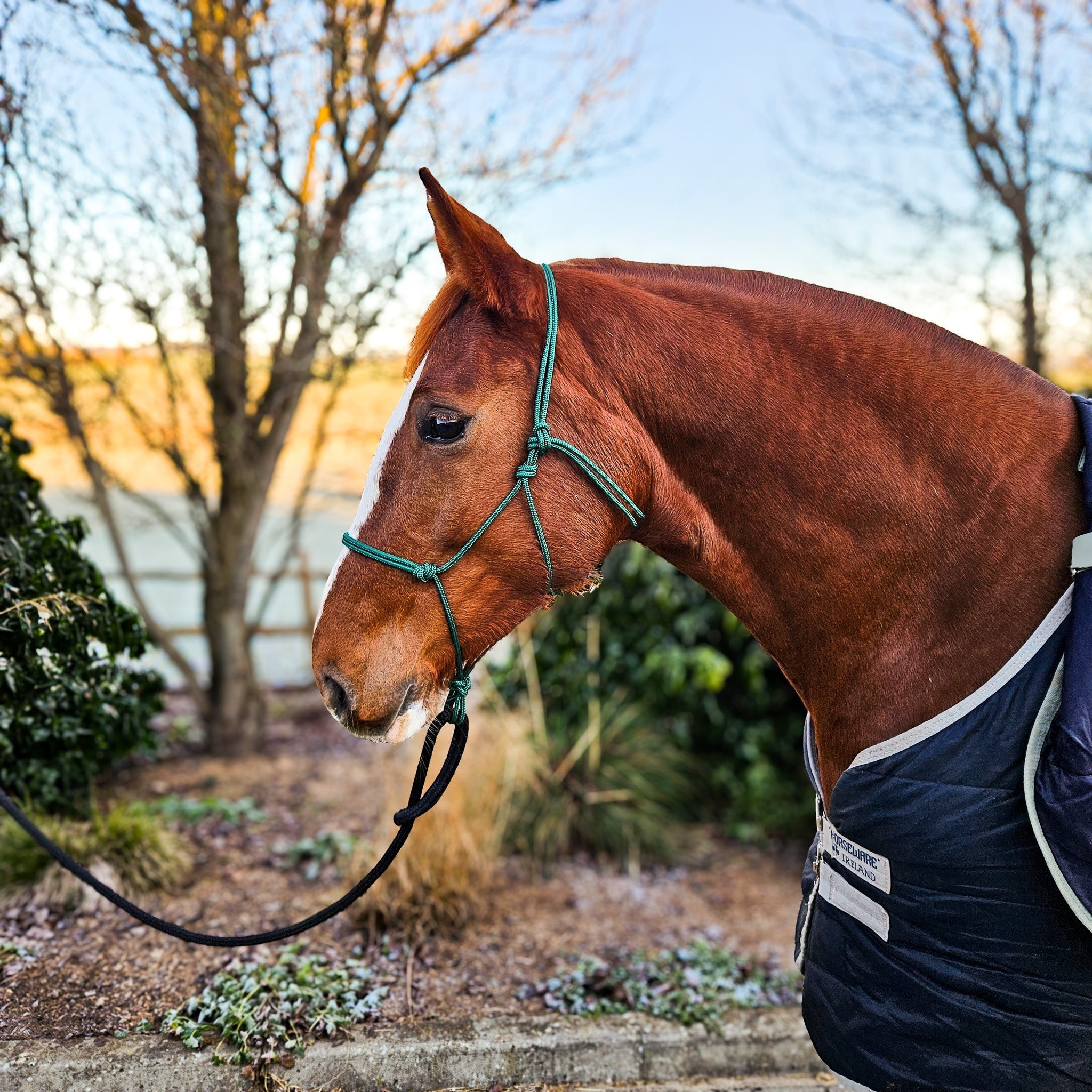 Ponies and Pups All Weather 6mm Rope Halter in green, metal-free design for silent communication with horses.