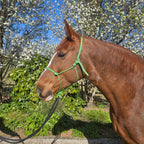 Ponies and Pups All Weather 6mm Rope Halter in bright green, worn by a chestnut horse with a white blaze.