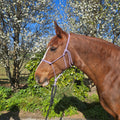 Ponies and Pups All Weather 6mm Rope Halter in lavender on a brown horse with a white blaze.