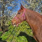 Ponies and Pups All Weather 6mm Rope Halter in bright pink, metal-free, hand-knotted from PPM rope.