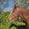 Ponies and Pups All Weather 6mm Rope Halter in pink on a brown horse with a white blaze, outdoors with blooming trees.