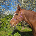 Ponies and Pups All Weather 6mm Rope Halter in pink on a brown horse with a white blaze, outdoors with blooming trees.