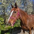Ponies and Pups bright pink 6mm rope halter on a chestnut horse with a white blaze, outdoors with blooming trees.
