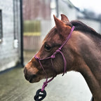 Ponies and Pups All Weather 6mm Rope Halter in purple, designed for silent communication with horses. Metal-free, hand-knotted in the UK.