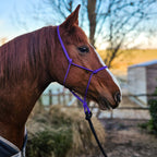 Ponies and Pups All Weather 6mm Rope Halter in purple, metal-free design for silent communication with horses.