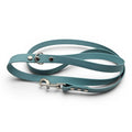 Ponies and Pups teal BioThane dog lead, waterproof and stink-proof, with silver metal hardware. 150cm length.