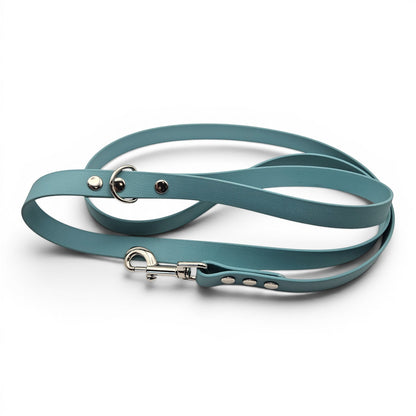 Ponies and Pups teal BioThane dog lead, waterproof and stink-proof, with silver metal hardware. 150cm length.