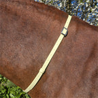 Ponies and Pups pale yellow BioThane adjustable horse neck strap with silver buckle, worn on a brown horse.