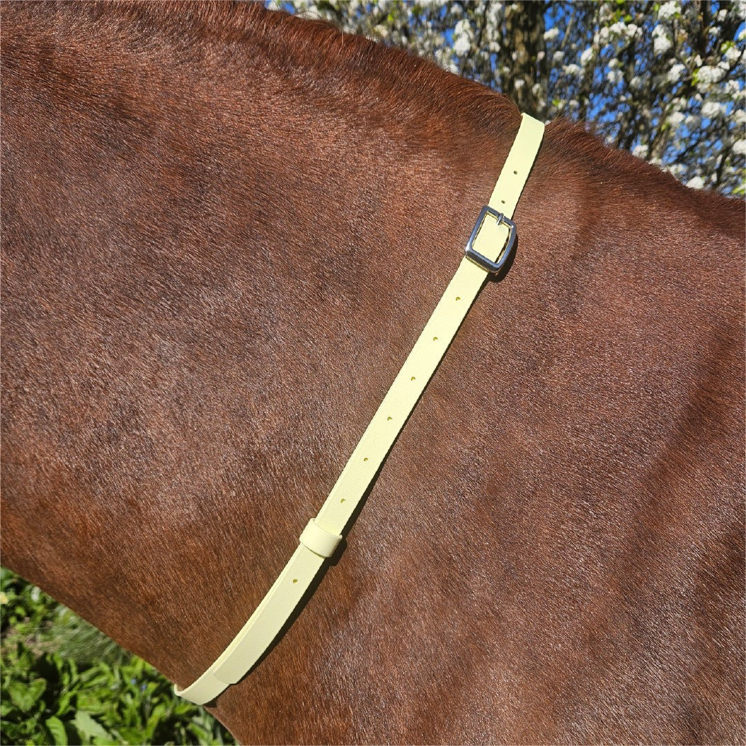 Ponies and Pups pale yellow BioThane adjustable horse neck strap with silver buckle, worn on a brown horse.