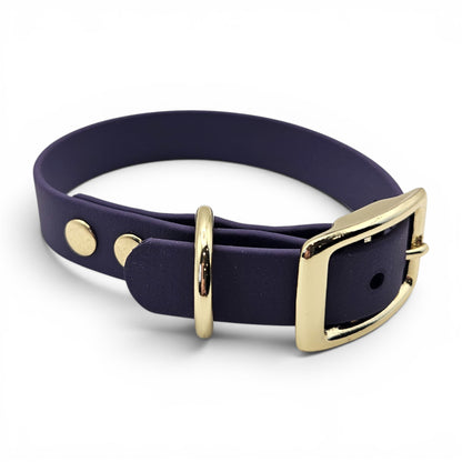 Navy blue dog collar with gold hardware on a white background