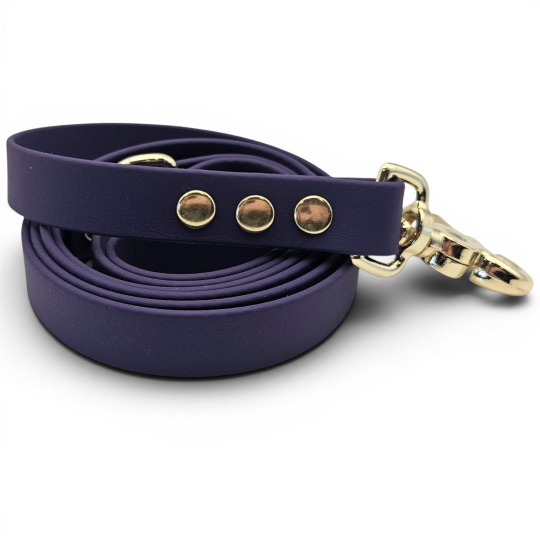 Navy blue dog leash with gold hardware on a white background