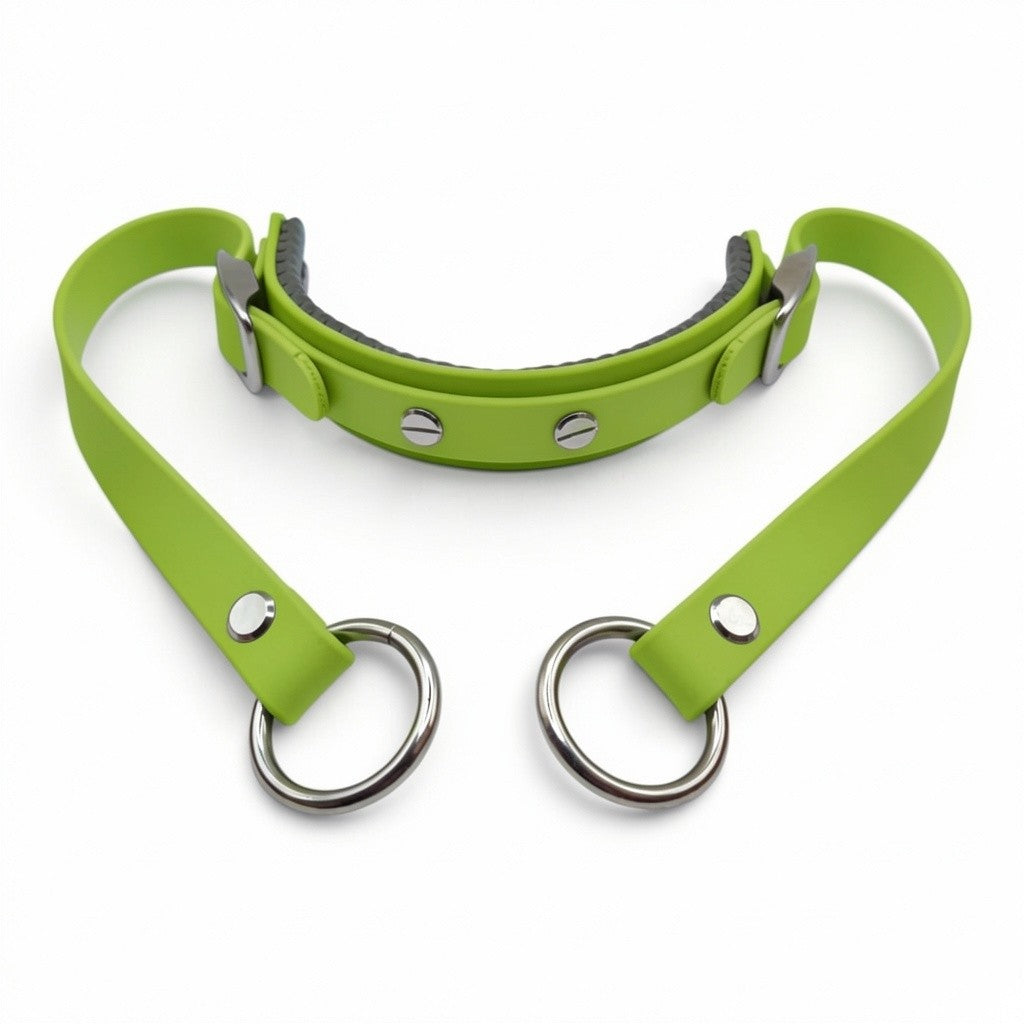 Rein Ready | Bitless Headcollar Adapter