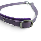 Rein Ready | Bitless Headcollar Adapter