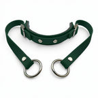 Rein Ready | Bitless Headcollar Adapter