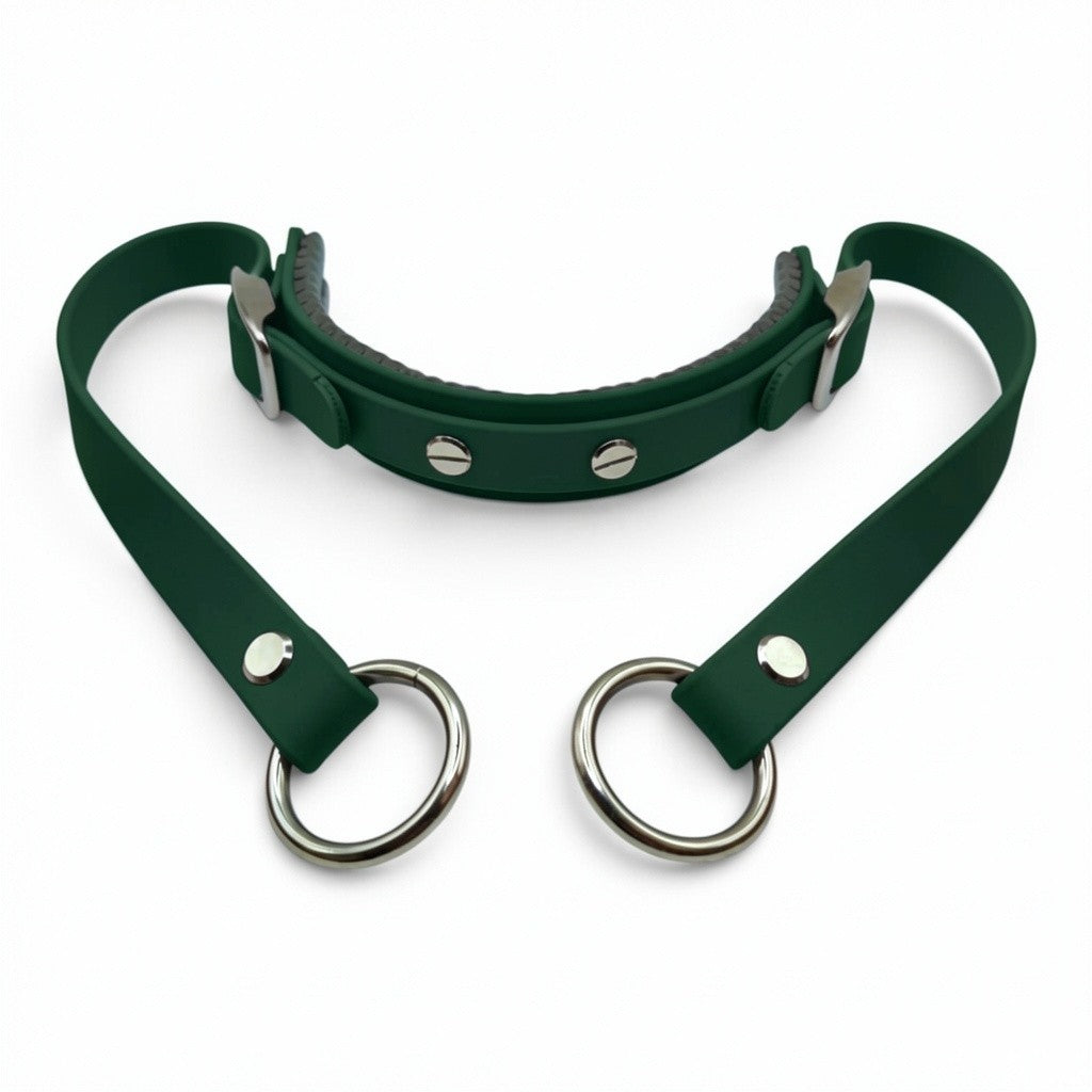 Rein Ready | Bitless Headcollar Adapter