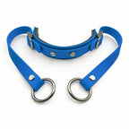 Rein Ready | Bitless Headcollar Adapter