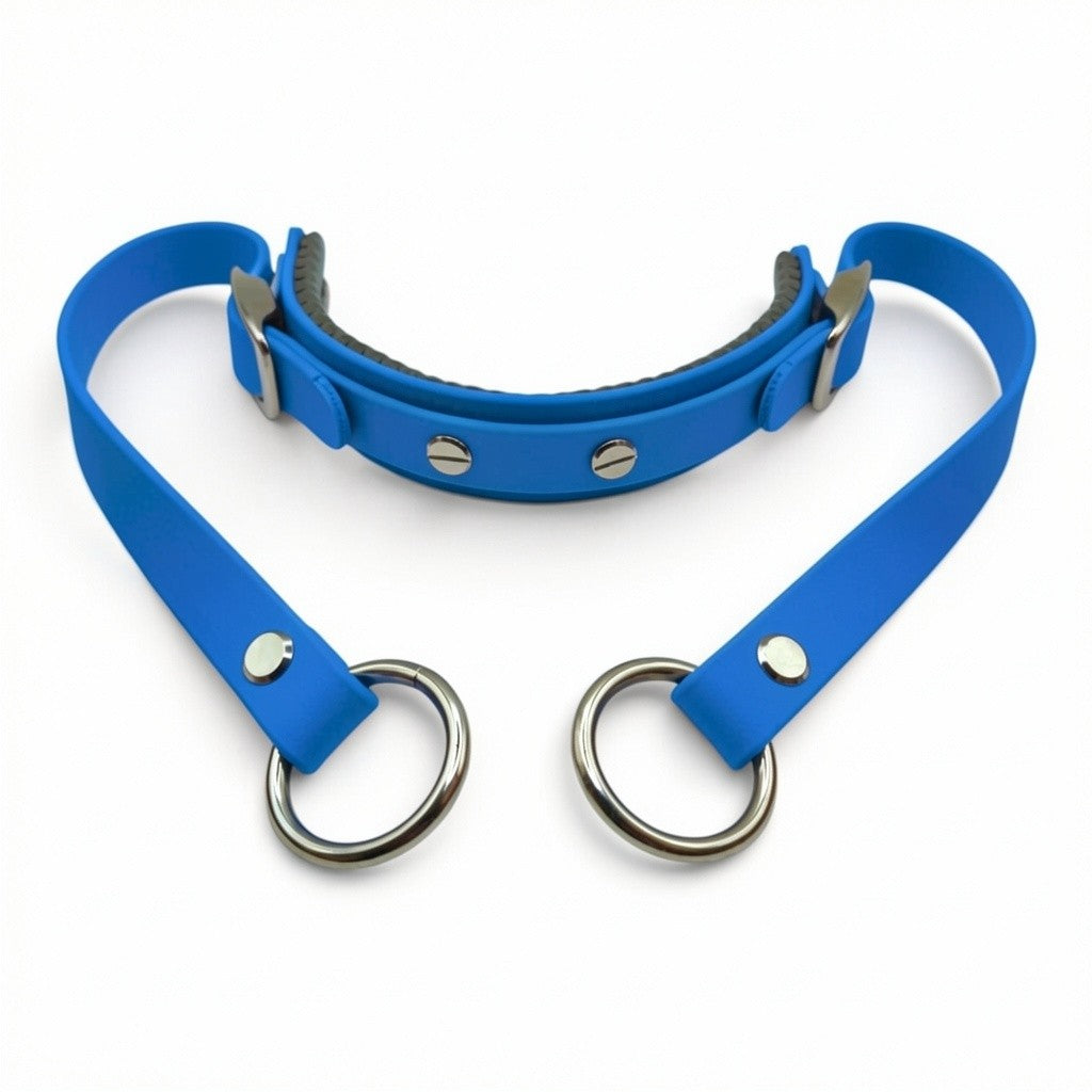 Rein Ready | Bitless Headcollar Adapter