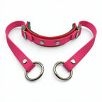 Rein Ready | Bitless Headcollar Adapter