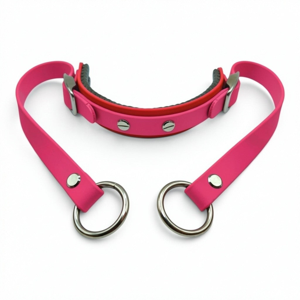 Rein Ready | Bitless Headcollar Adapter