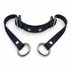 Rein Ready | Bitless Headcollar Adapter
