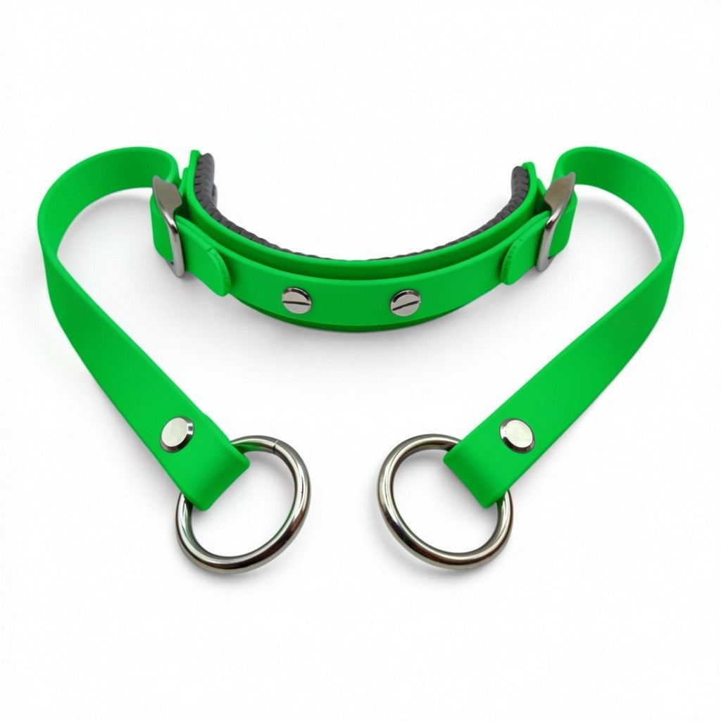 Rein Ready | Bitless Headcollar Adapter