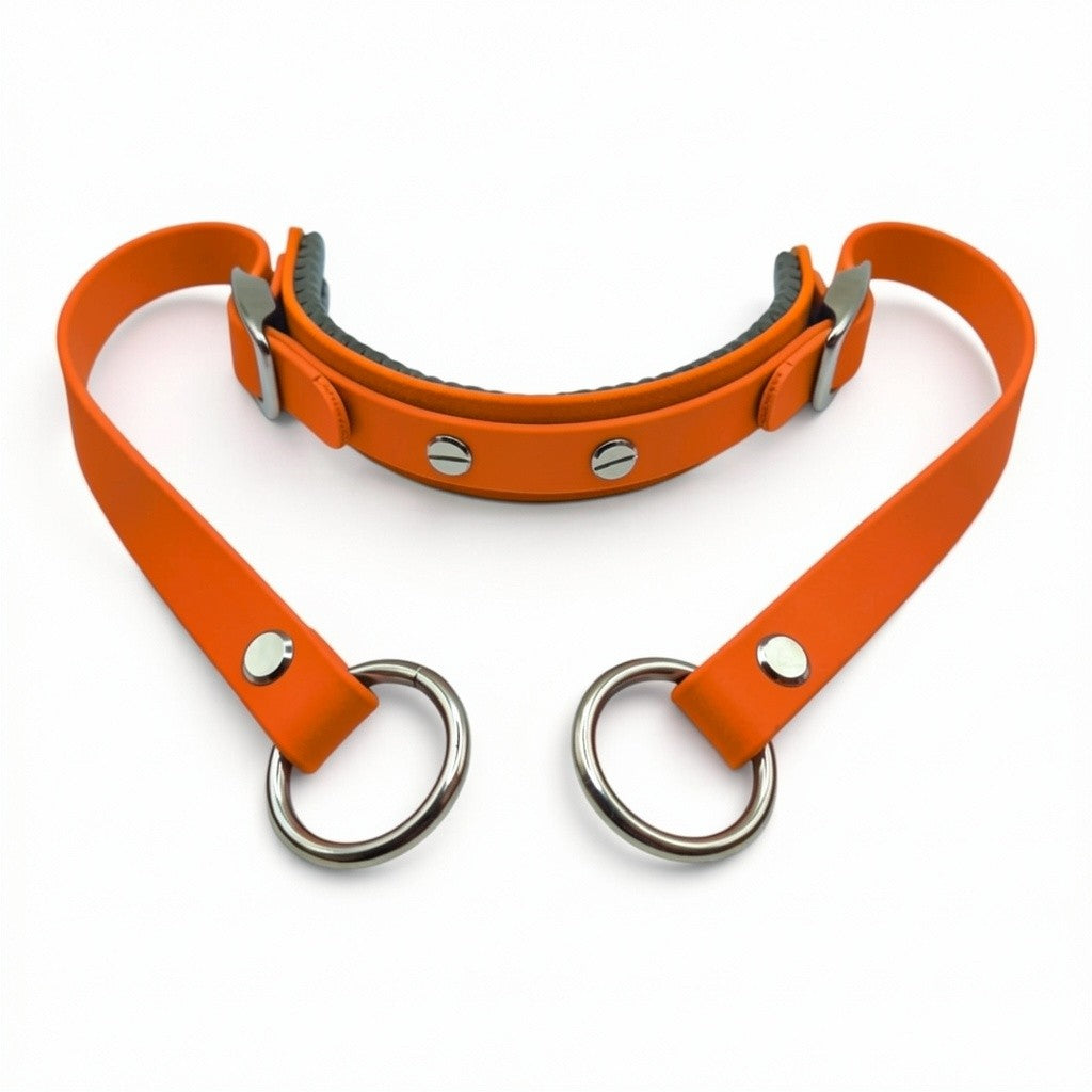 Rein Ready | Bitless Headcollar Adapter