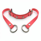 Rein Ready | Bitless Headcollar Adapter