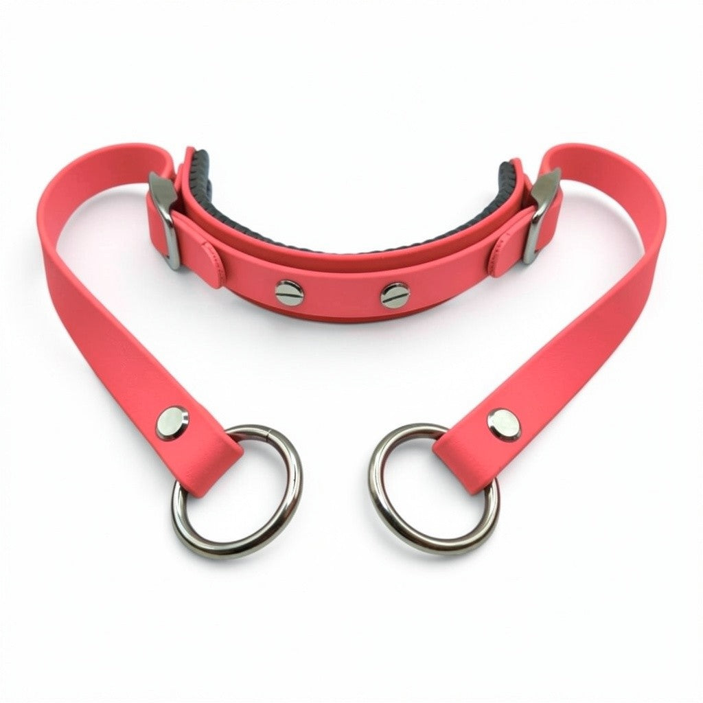 Rein Ready | Bitless Headcollar Adapter