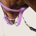 Rein Ready | Bitless Headcollar Adapter