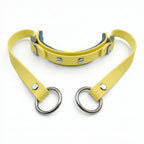 Rein Ready | Bitless Headcollar Adapter