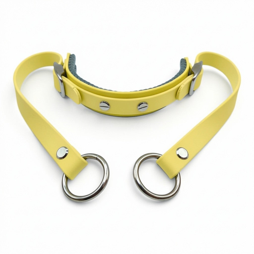 Rein Ready | Bitless Headcollar Adapter