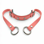 Rein Ready | Bitless Headcollar Adapter