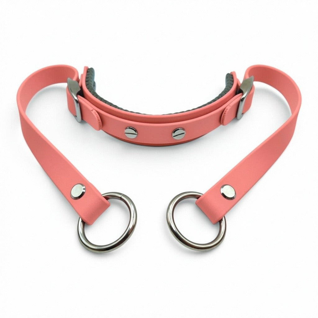 Rein Ready | Bitless Headcollar Adapter