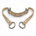 Rein Ready | Bitless Headcollar Adapter