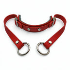 Rein Ready | Bitless Headcollar Adapter