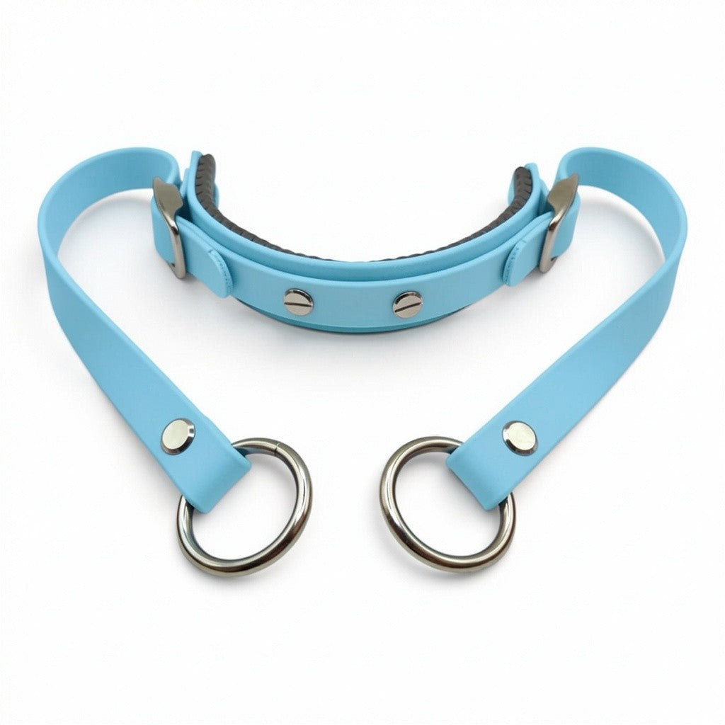 Rein Ready | Bitless Headcollar Adapter