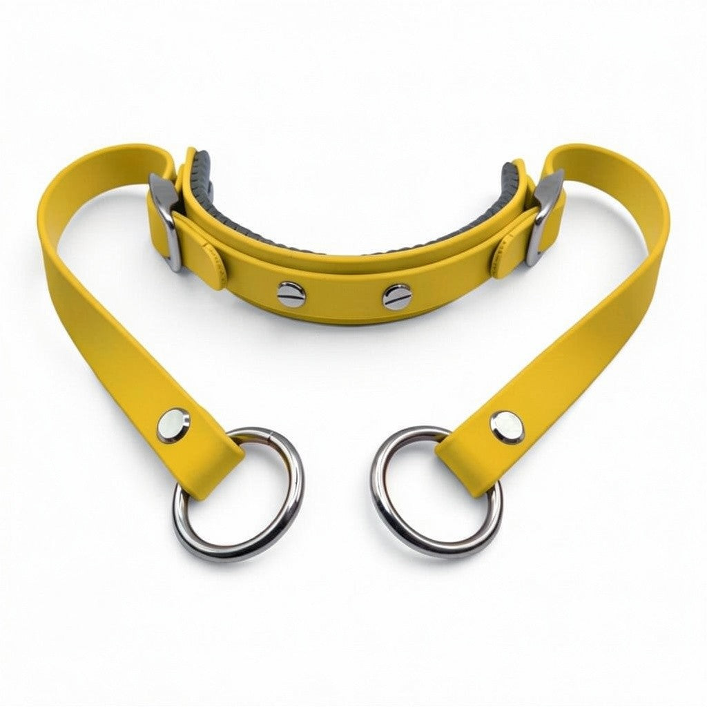 Rein Ready | Bitless Headcollar Adapter