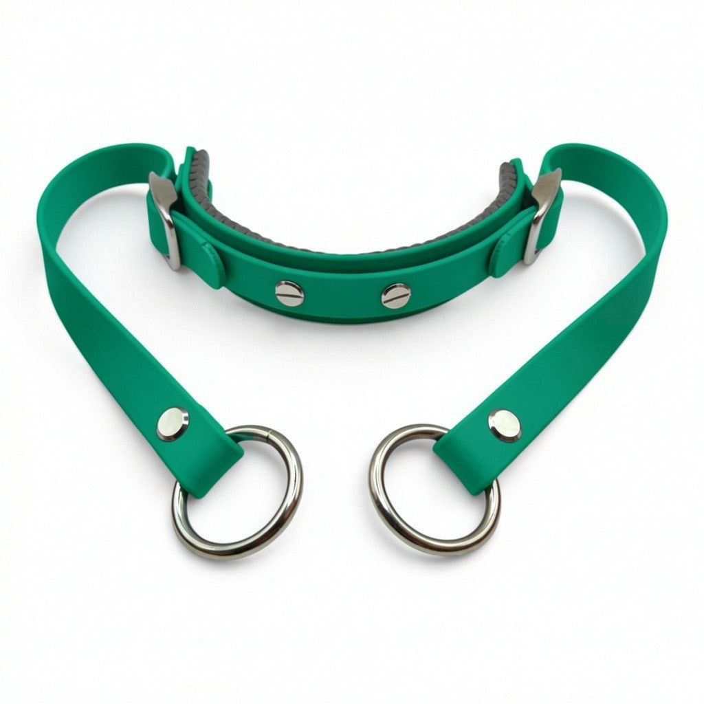 Rein Ready | Bitless Headcollar Adapter