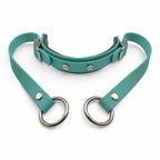Rein Ready | Bitless Headcollar Adapter