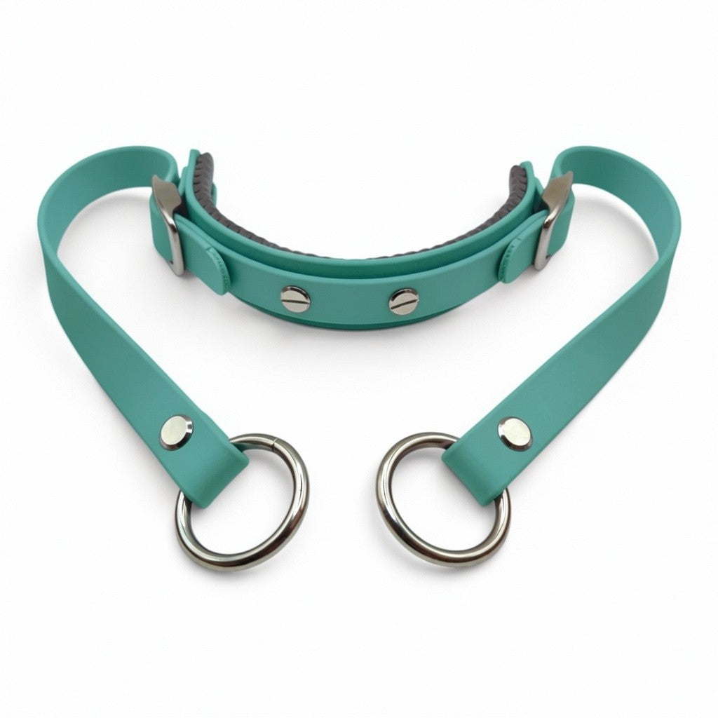 Rein Ready | Bitless Headcollar Adapter