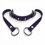 Rein Ready | Bitless Headcollar Adapter