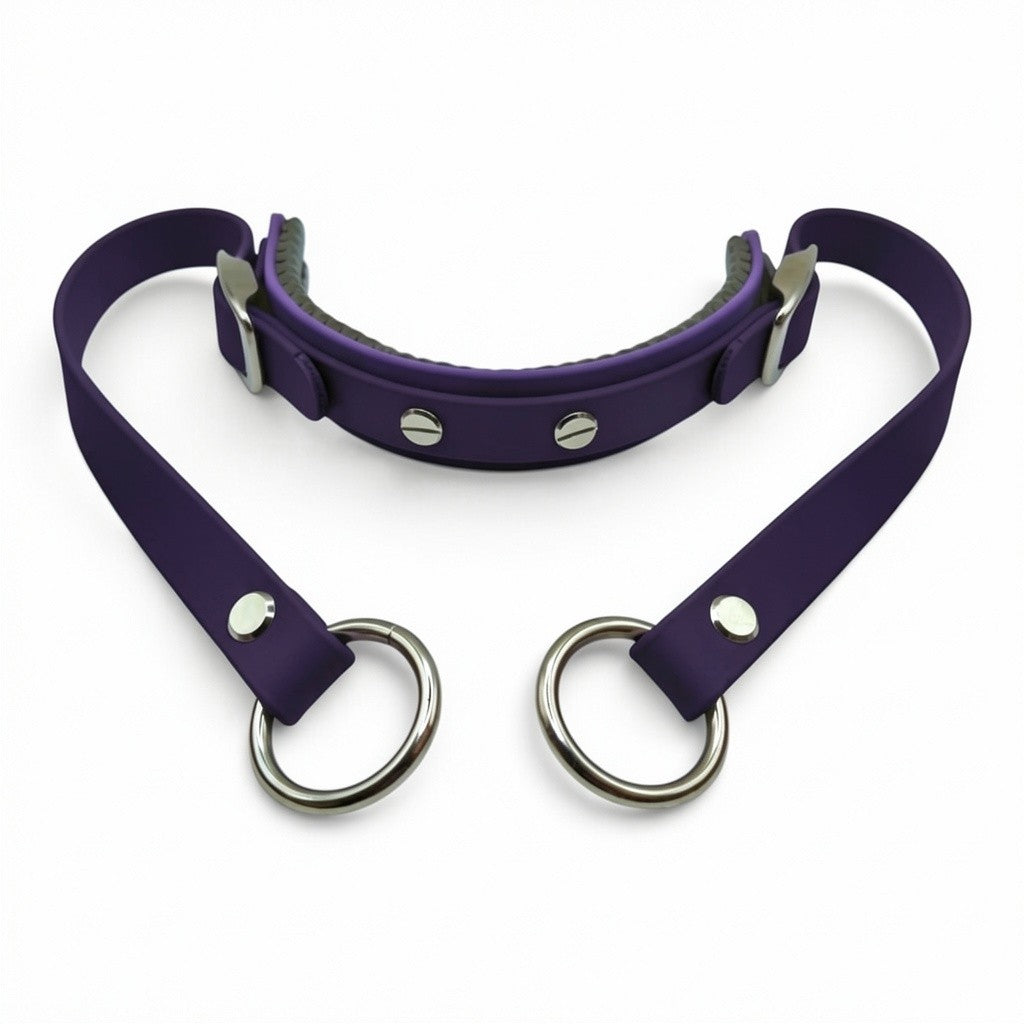 Rein Ready | Bitless Headcollar Adapter